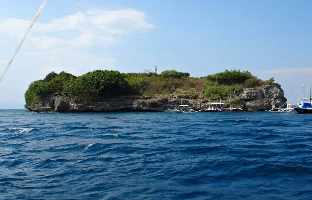 Pescador Island in Moalboal  Pictures